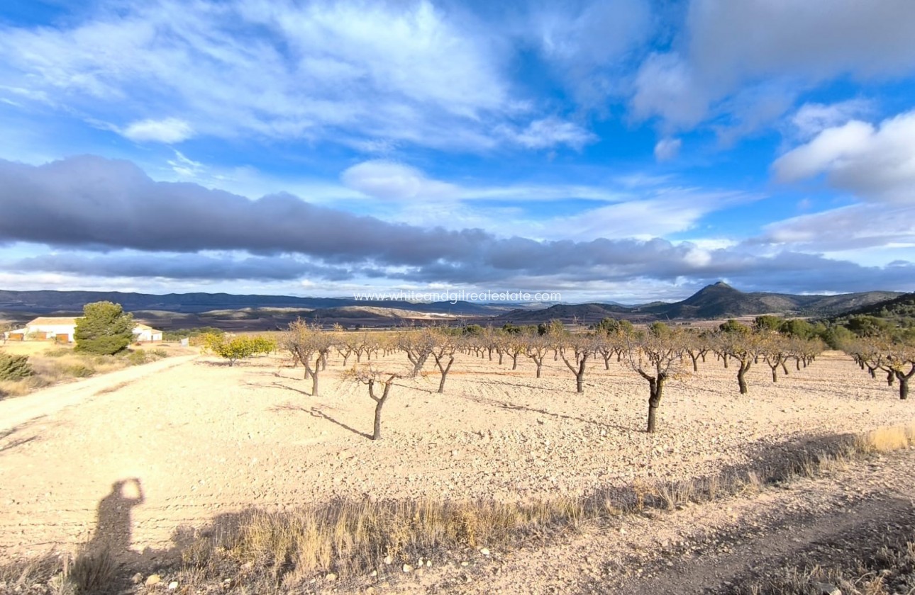 Sale - Country house  - Yecla - Rural location