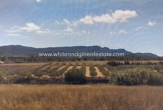 Sale - Country house  - Lorca - Costa Calida