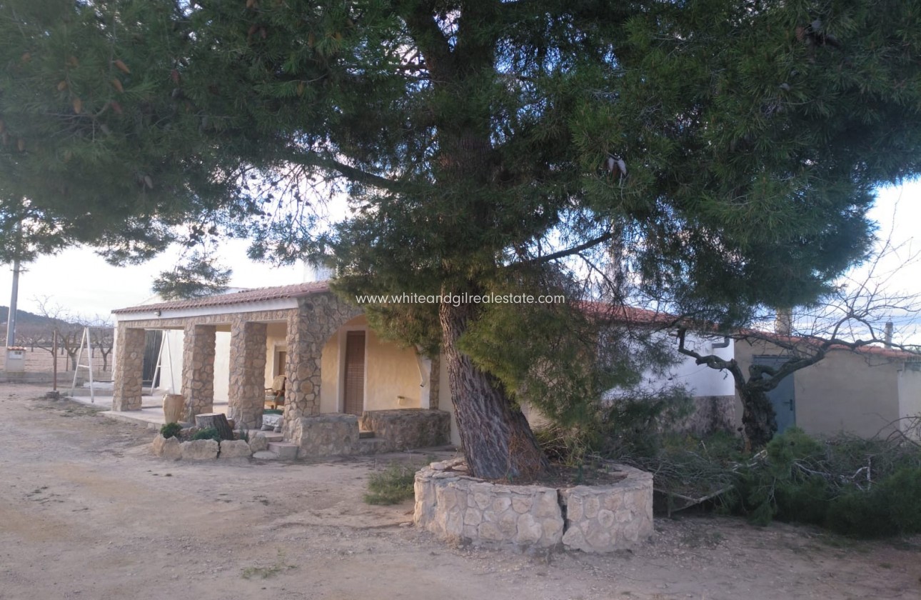 Venta - Chalet / Villa - Yecla