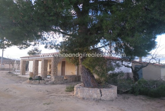 Venta - Chalet / Villa - Yecla