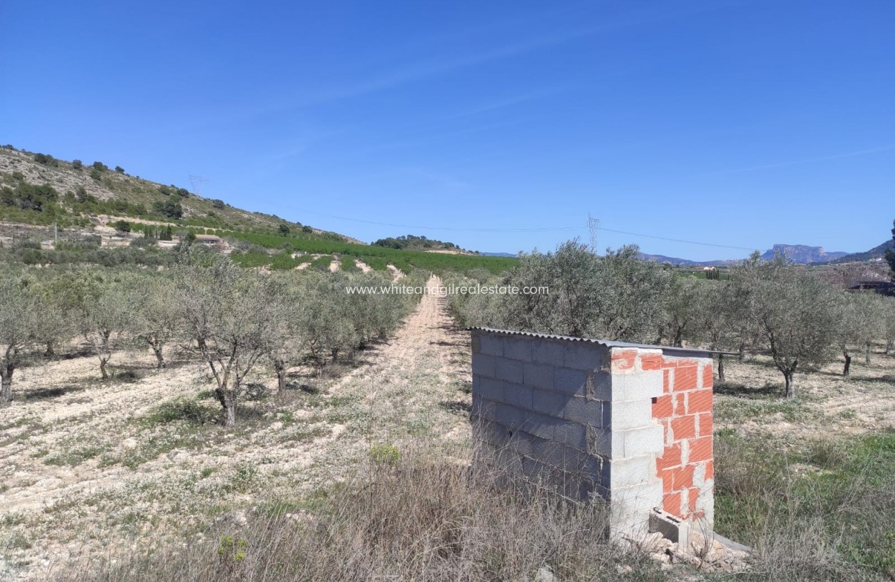 Revente - Parcelle / Terrain - Salinas