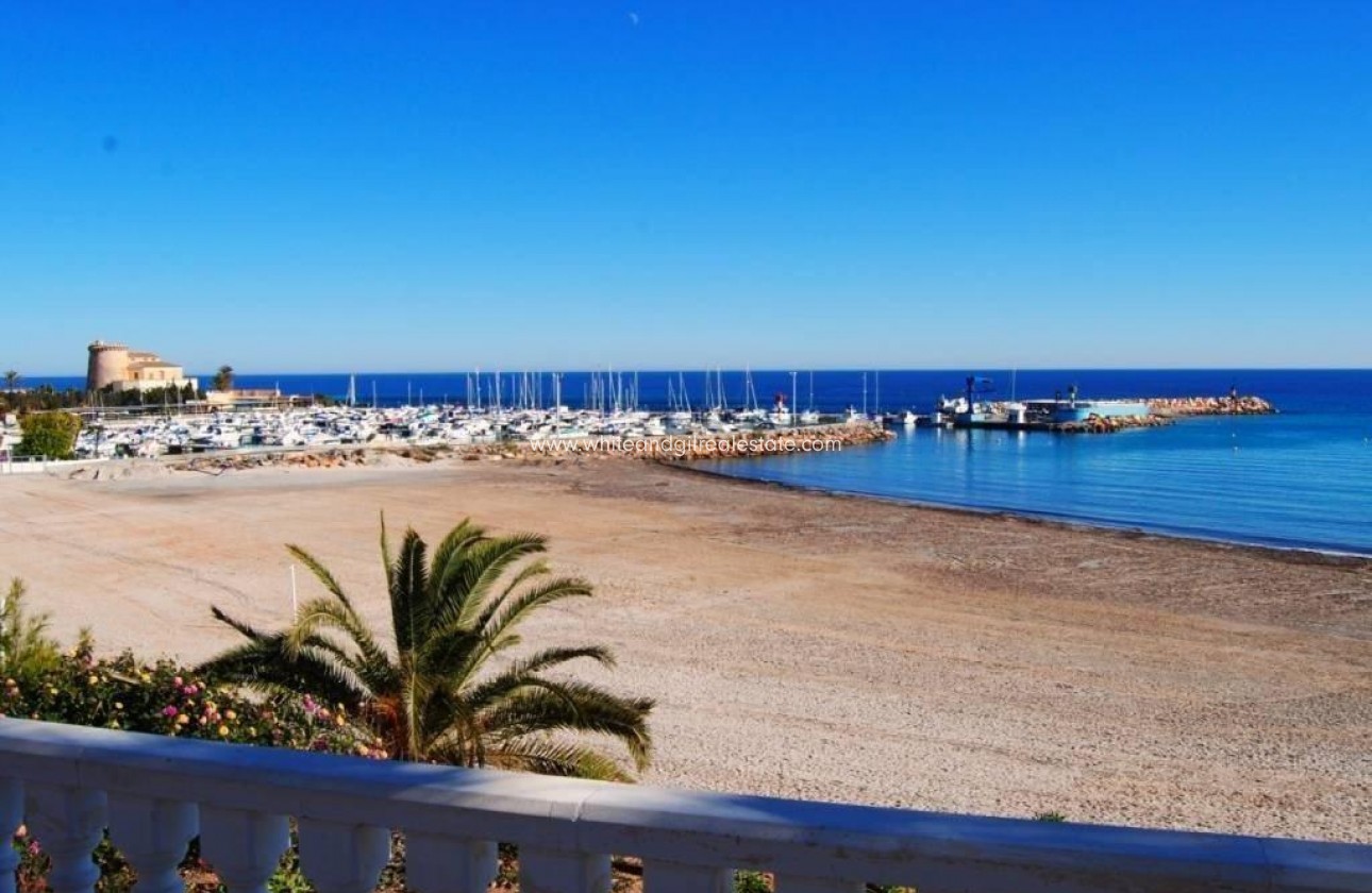 New Build - Villa  - Daya Nueva - Pueblo