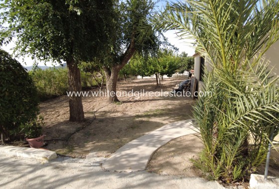 Sale - Villa  - Caudete