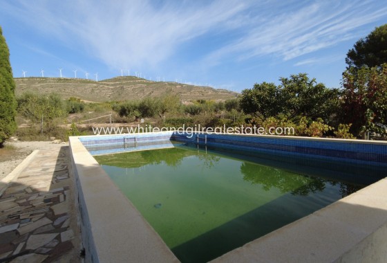 Sale - Villa  - Caudete