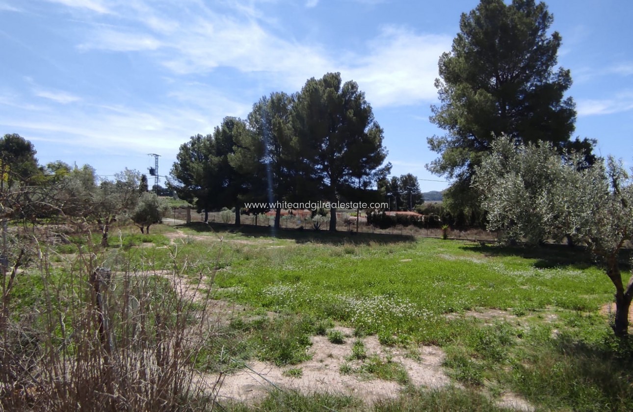 Revente - Villa  - Sax