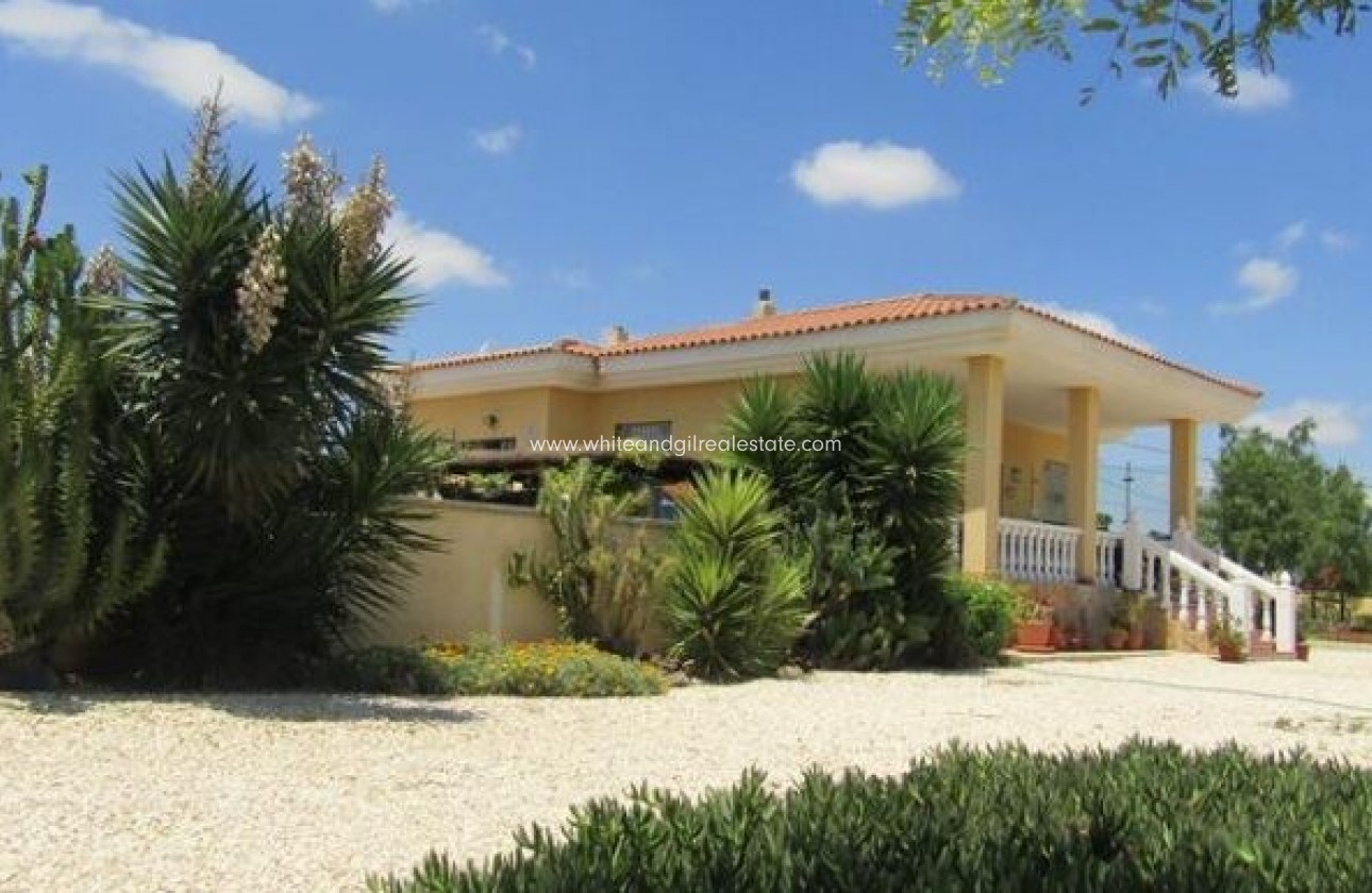 Sale - Villa  - Novelda