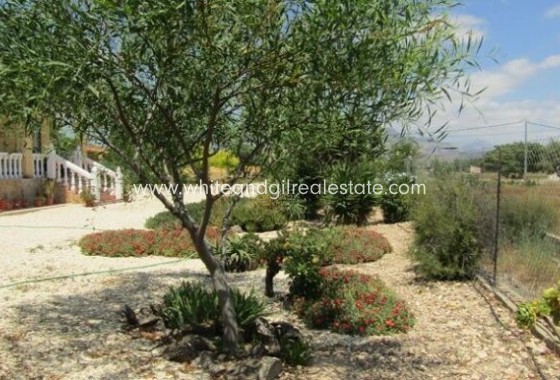 Sale - Villa  - Novelda