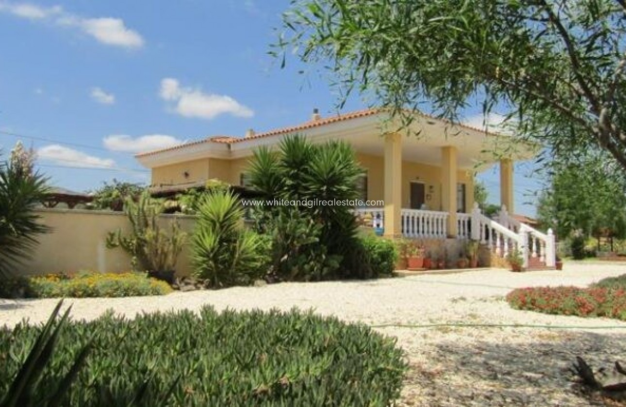 Sale - Villa  - Novelda