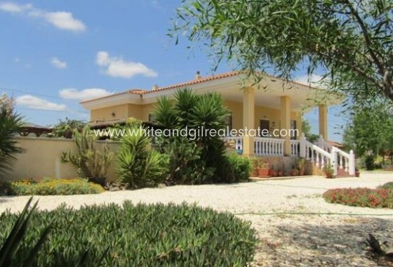 Sale - Villa  - Novelda