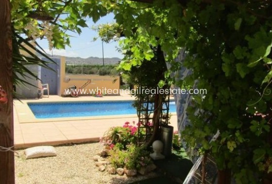 Sale - Villa  - Novelda