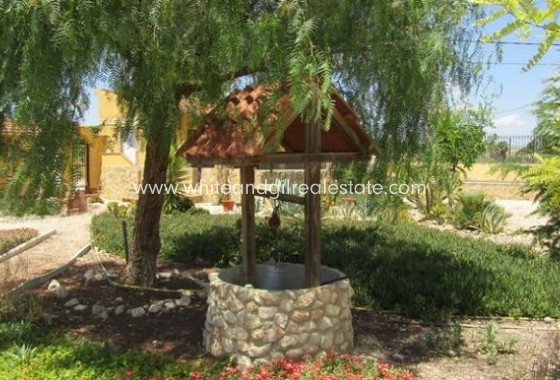 Sale - Villa  - Novelda