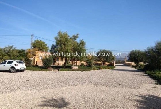 Sale - Villa  - Novelda