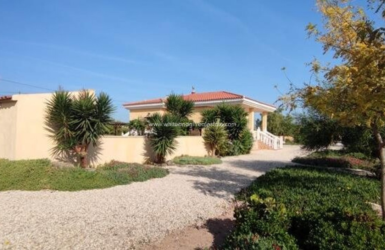 Sale - Villa  - Novelda