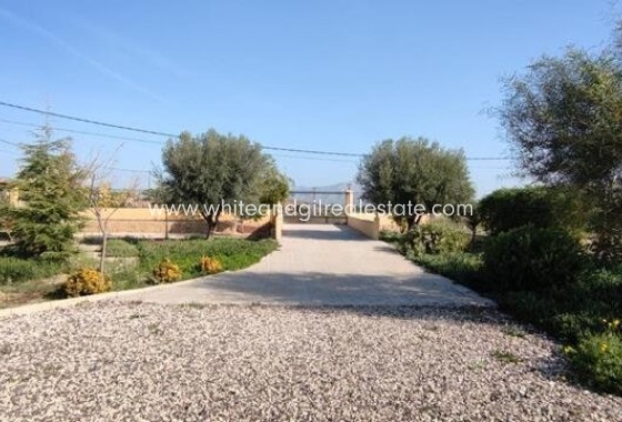 Sale - Villa  - Novelda