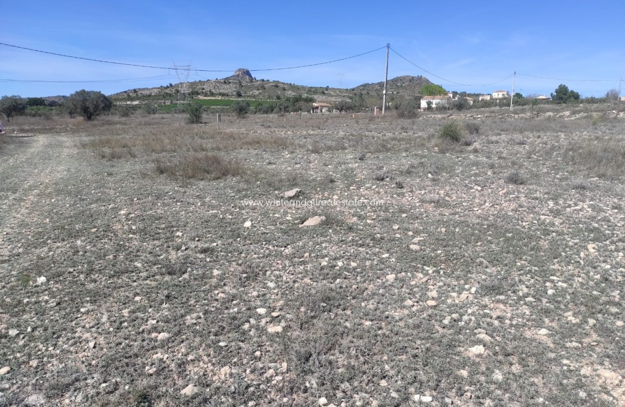 Venta - Parcela / Terreno - Salinas