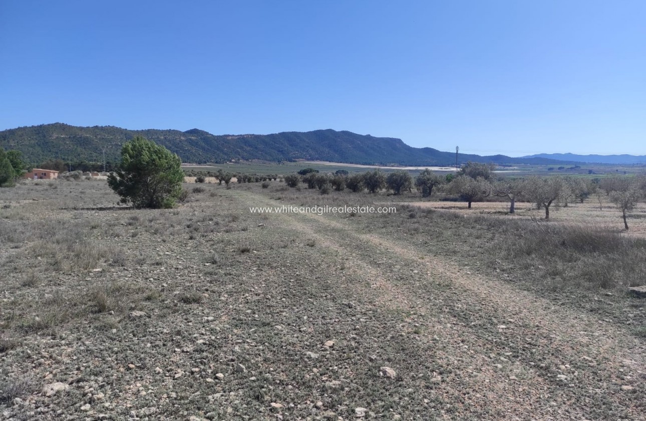 Venta - Parcela / Terreno - Salinas