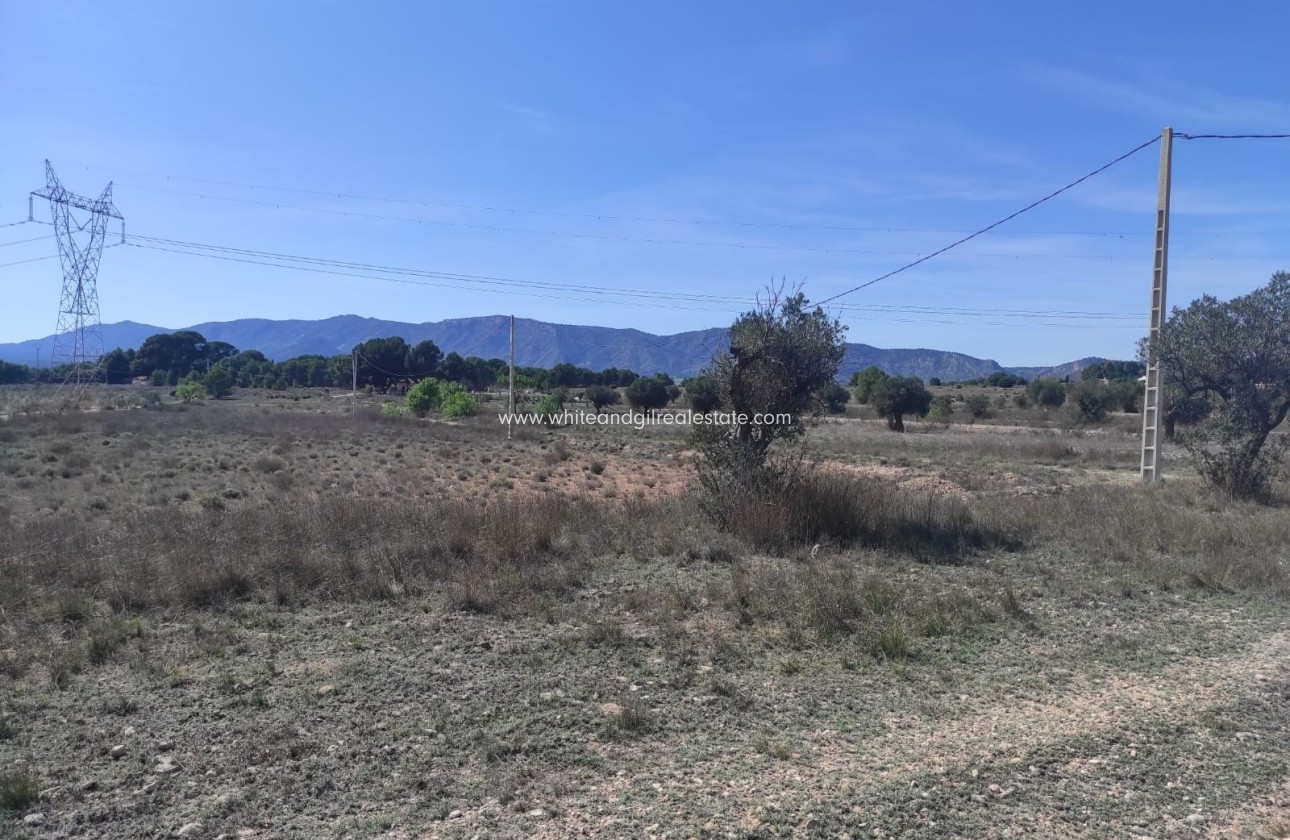 Venta - Parcela / Terreno - Salinas