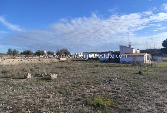 Sale - Finca - Torre del Rico - Pinoso