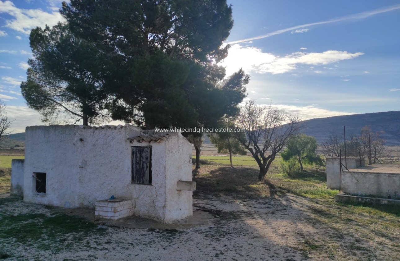 Sale - Finca - Torre del Rico - Pinoso