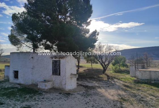 Sale - Finca - Torre del Rico - Pinoso