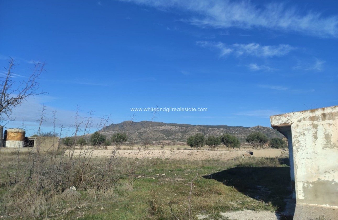 Sale - Finca - Torre del Rico - Pinoso