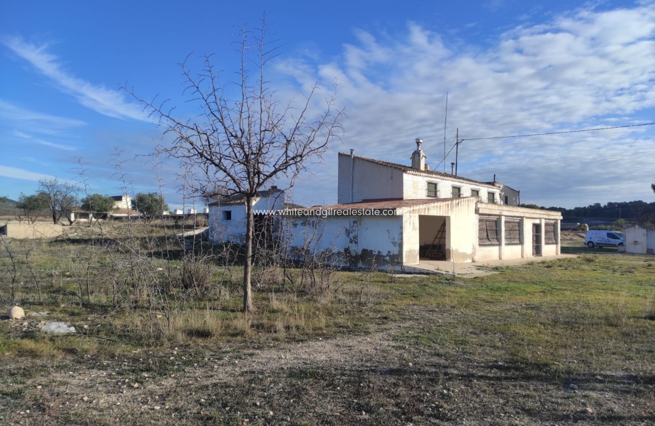 Sale - Finca - Torre del Rico - Pinoso