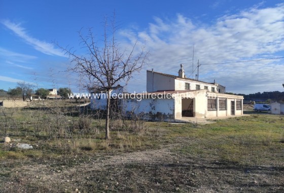 Sale - Finca - Torre del Rico - Pinoso