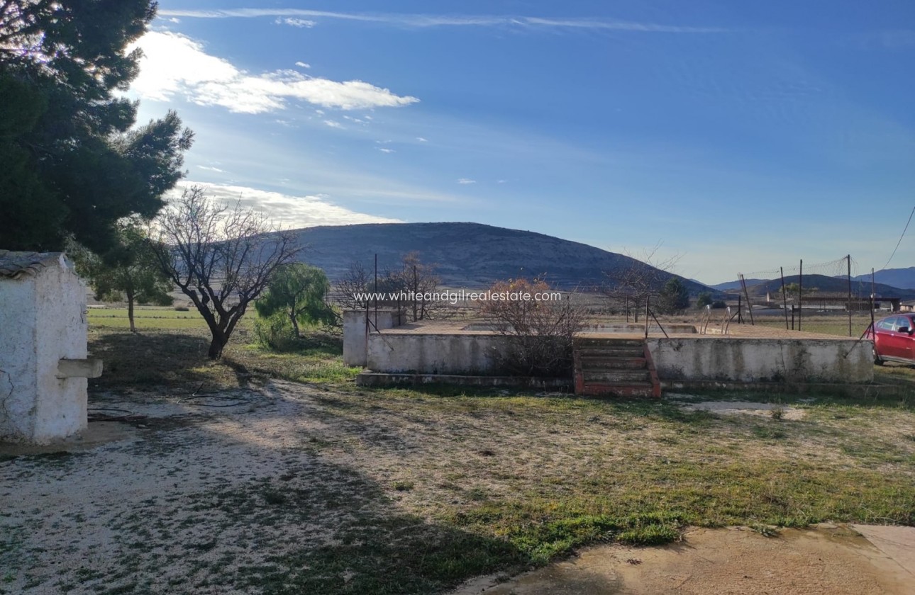 Sale - Finca - Torre del Rico - Pinoso