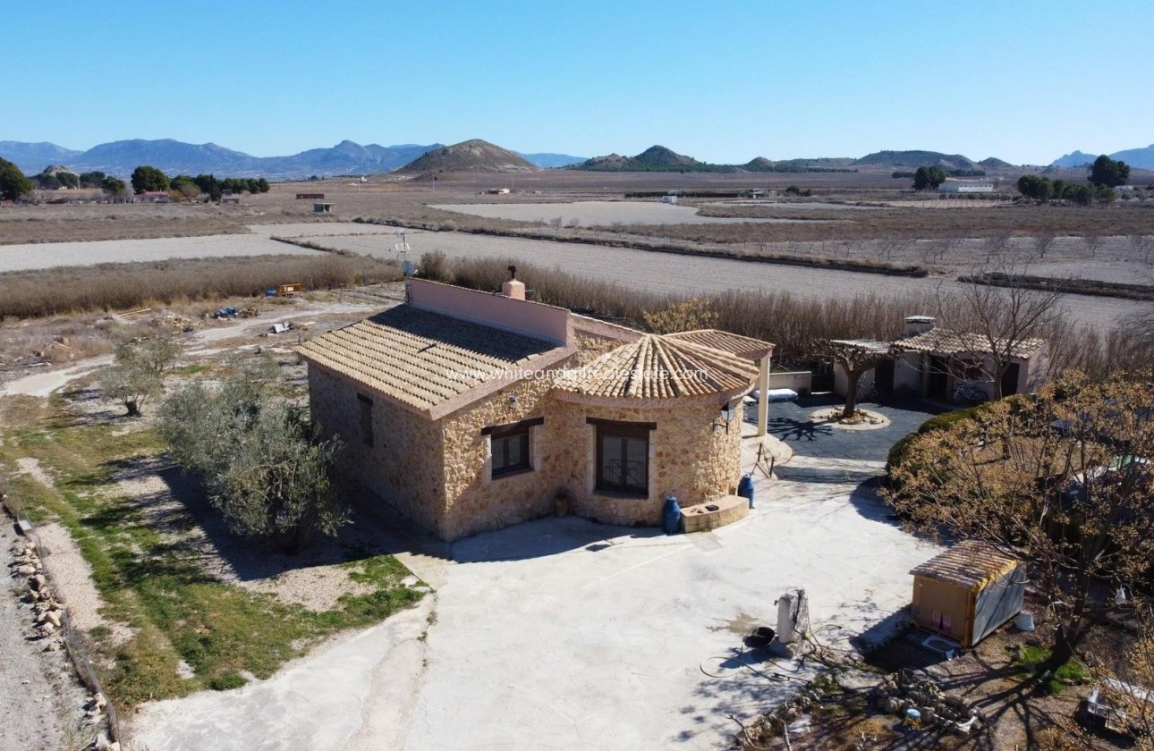 Venta - Chalet / Villa - Villena