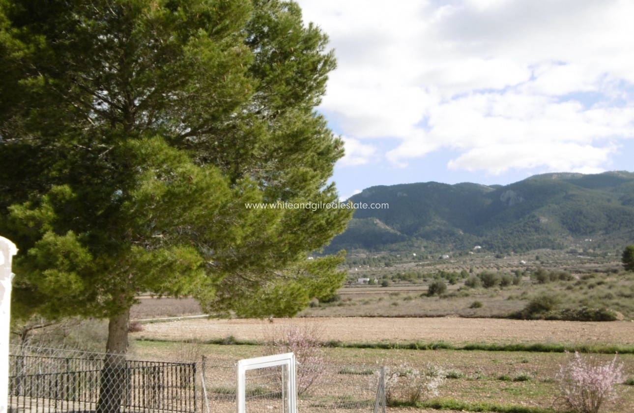 Venta - Casa de campo - Yecla