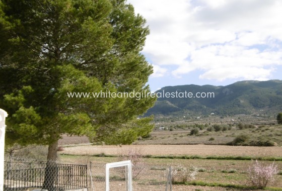 Venta - Casa de campo - Yecla