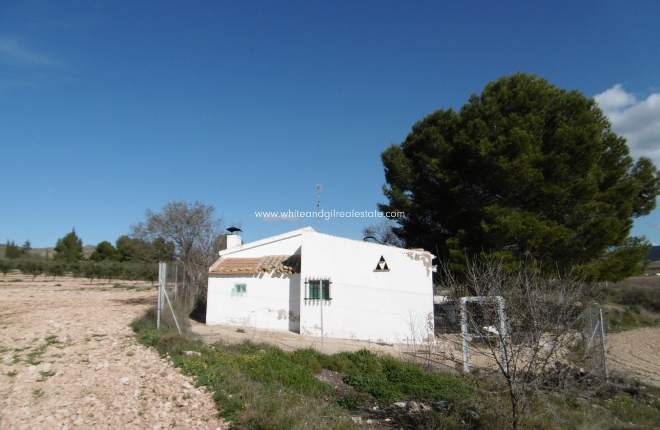 Venta - Casa de campo - Yecla