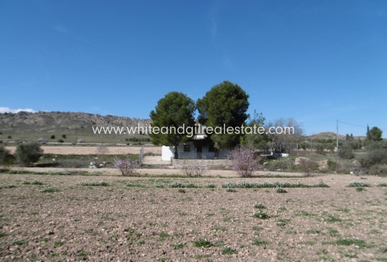 Venta - Casa de campo - Yecla