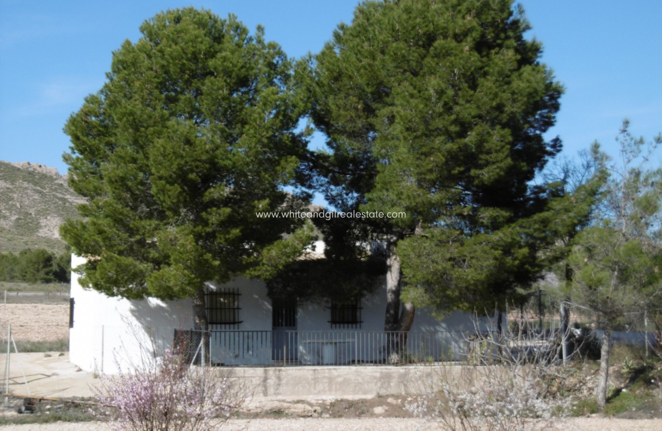 Venta - Casa de campo - Yecla