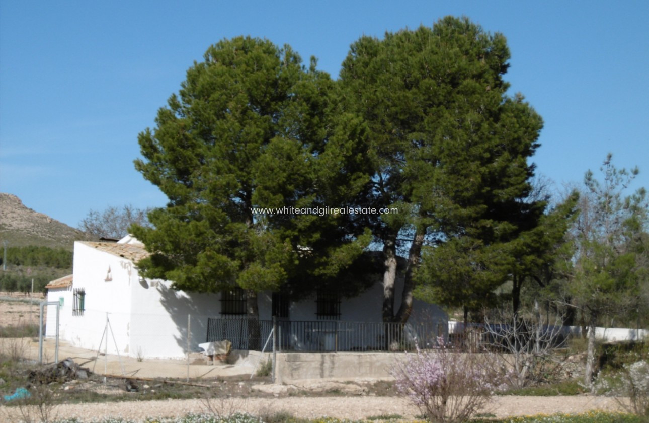 Venta - Casa de campo - Yecla