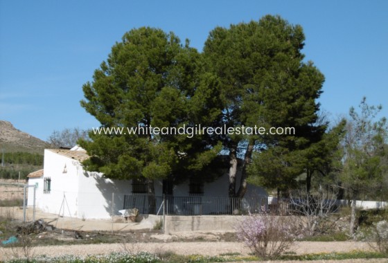 Venta - Casa de campo - Yecla