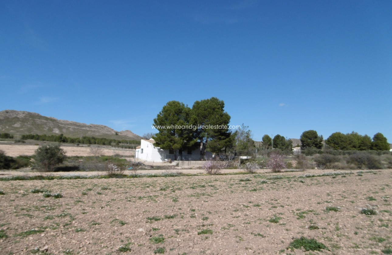 Venta - Casa de campo - Yecla