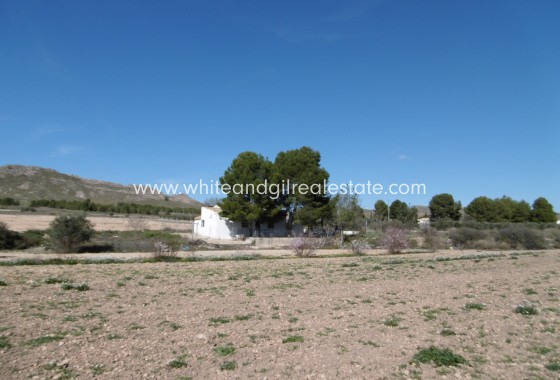 Venta - Casa de campo - Yecla