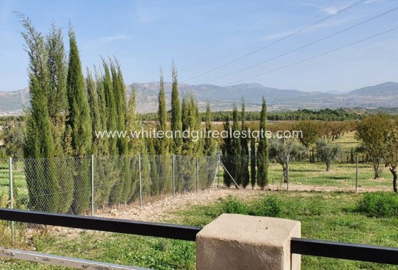 Sale - Finca - Sax