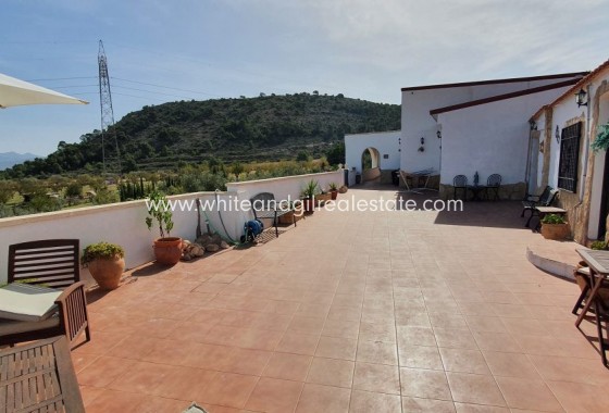 Sale - Finca - Sax