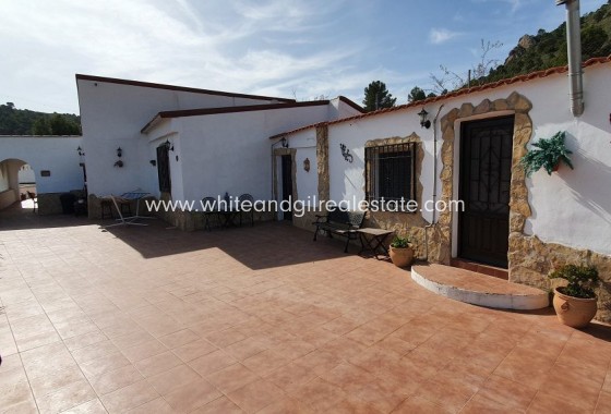 Sale - Finca - Sax