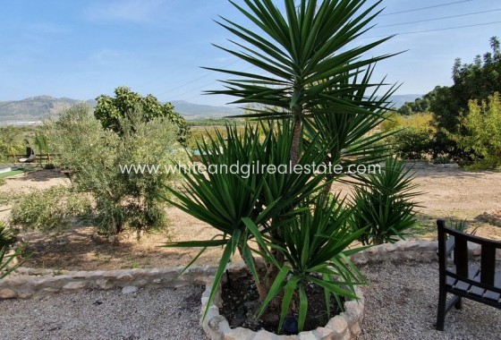 Sale - Finca - Sax