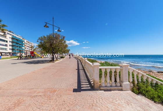 Sale - Penthouse - Torrevieja - Centro