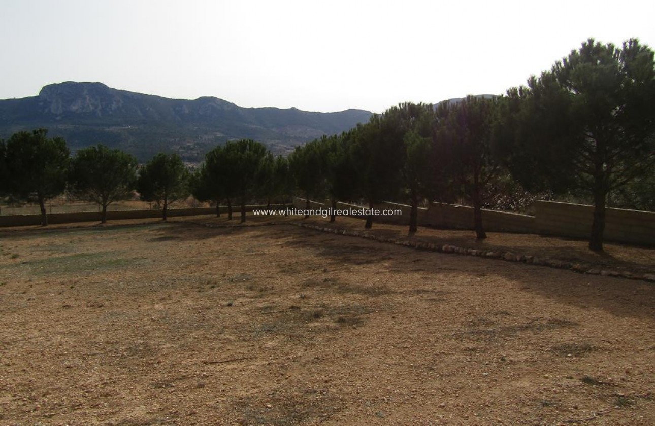 Revente - Villa  - La Romana