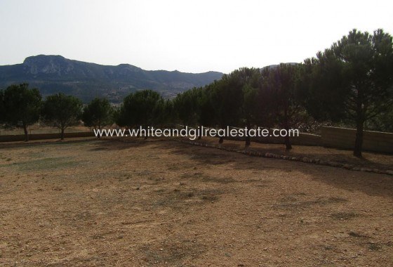 Revente - Villa  - La Romana