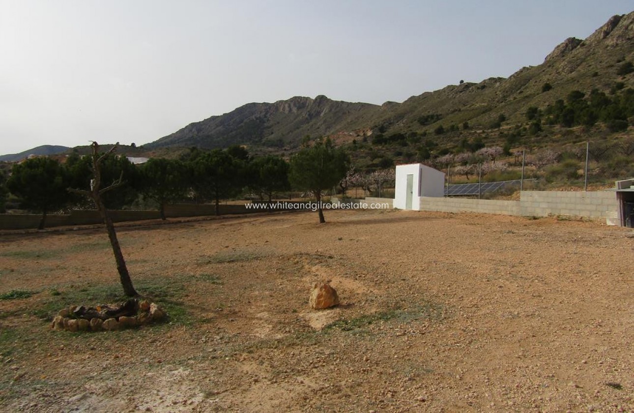 Revente - Villa  - La Romana