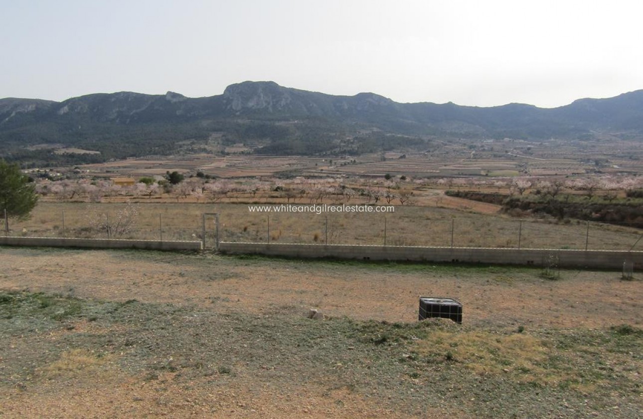 Revente - Villa  - La Romana