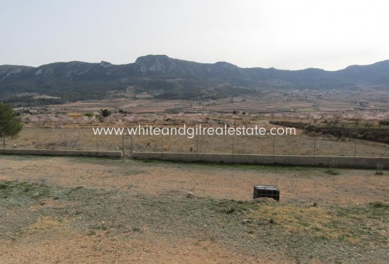 Revente - Villa  - La Romana