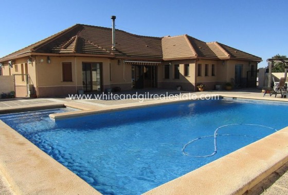 Sale - Villa  - Pinoso