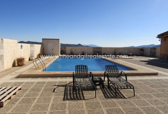 Sale - Villa  - Pinoso